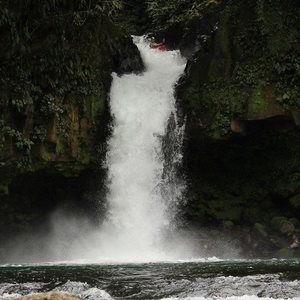 Meet your Posher, Owen